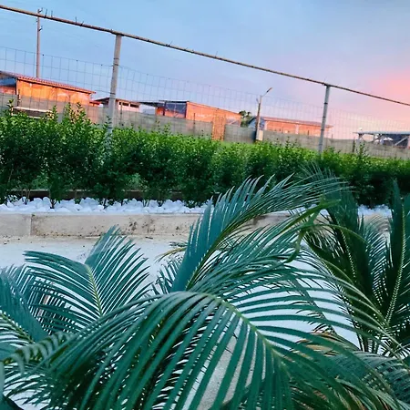 Saint Anastasia Lozenets